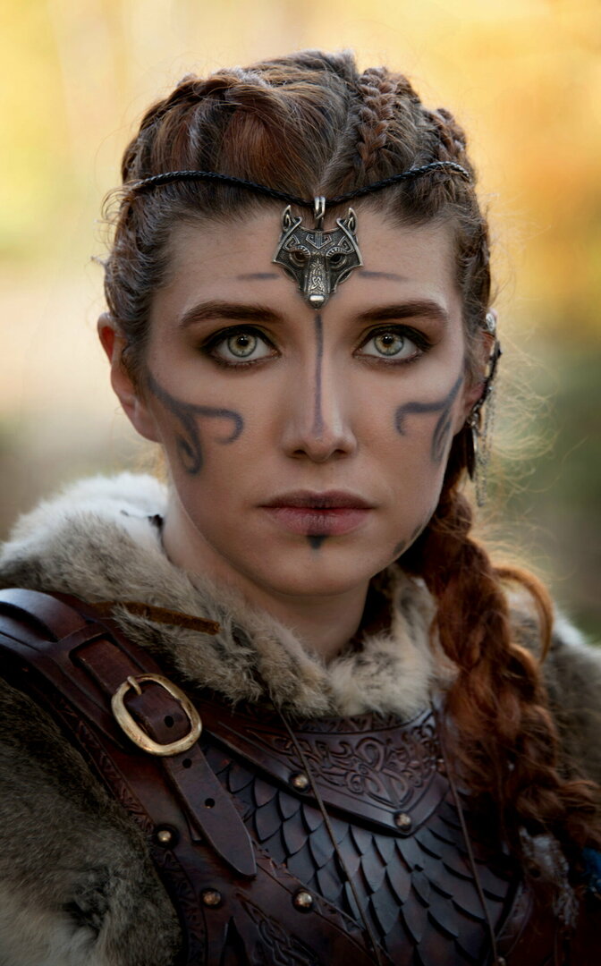 Viking.thumb.jpg.af96bbb214c402ea81ec6ae116644222.jpg