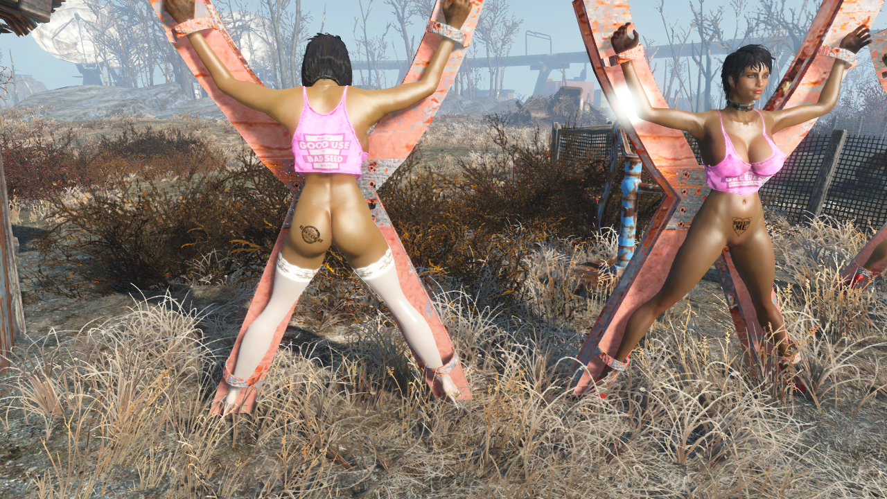 enb2020_4_7_16_14_03.png
