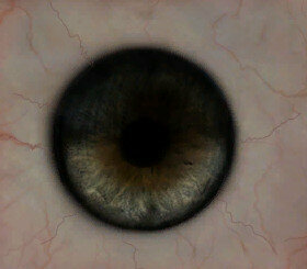 eyeVikingLL.jpg.02a44916903b3e6045a7ffa72fcdad22.jpg