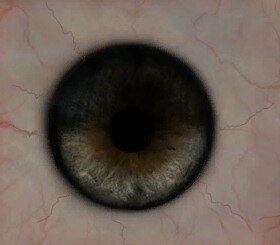 eyeVikingLL.jpg.91fe1553afd5f5495da32b35d5edd5c2.jpg