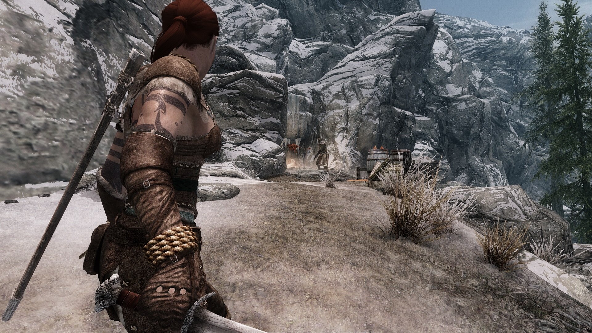 woad_one.jpg.ff1872379d69cf2753c503d2aac27389.jpg