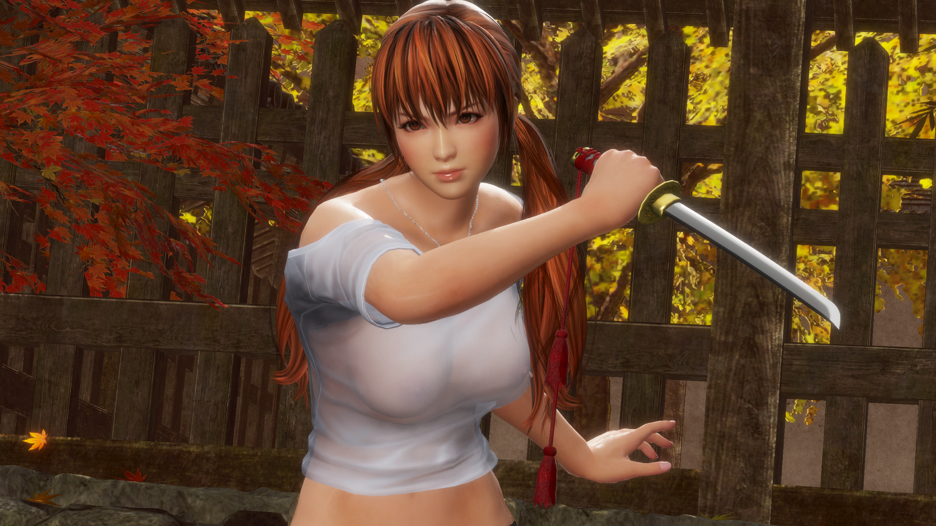 doa6.exe Screenshot 2020.04.05 - 07.39.07.70.png