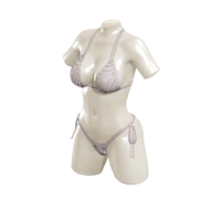 911684971_Orchid(R).png.ad5daae882824af41f556d46169ab717.png