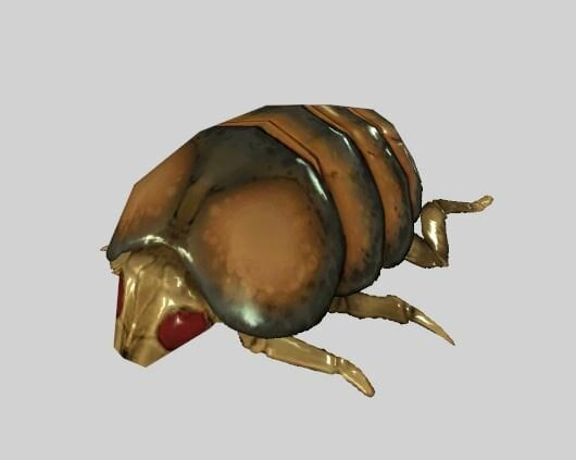 draugrCapture.JPG.027e74617ebd09a8c4ae0d0fb666080f.JPG