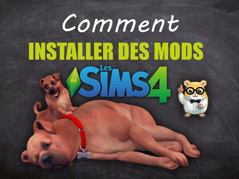miniature_tuto_mods.jpg.df846cdcf9805d3f94e8f5af46fcbe35.jpg