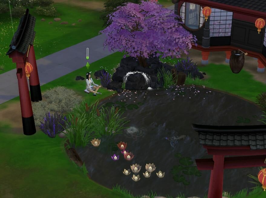 1380096670_MeditateclosetothetinyWaterfall.JPG.6a0f52671fffa811814a01dab0d2cce1.JPG