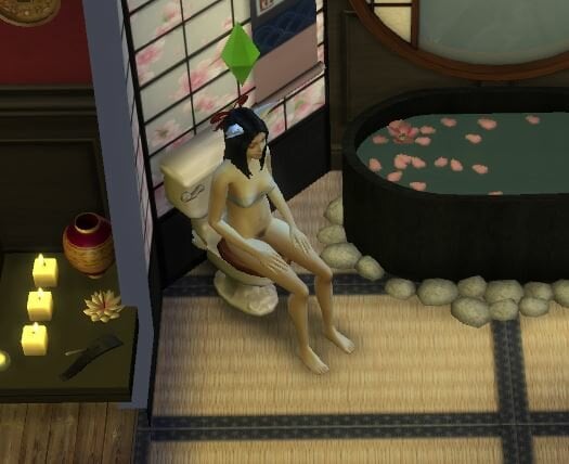 156526195_UsingtheToilet.JPG.f7bff1ae5be98223ea67fa244ce38b71.JPG
