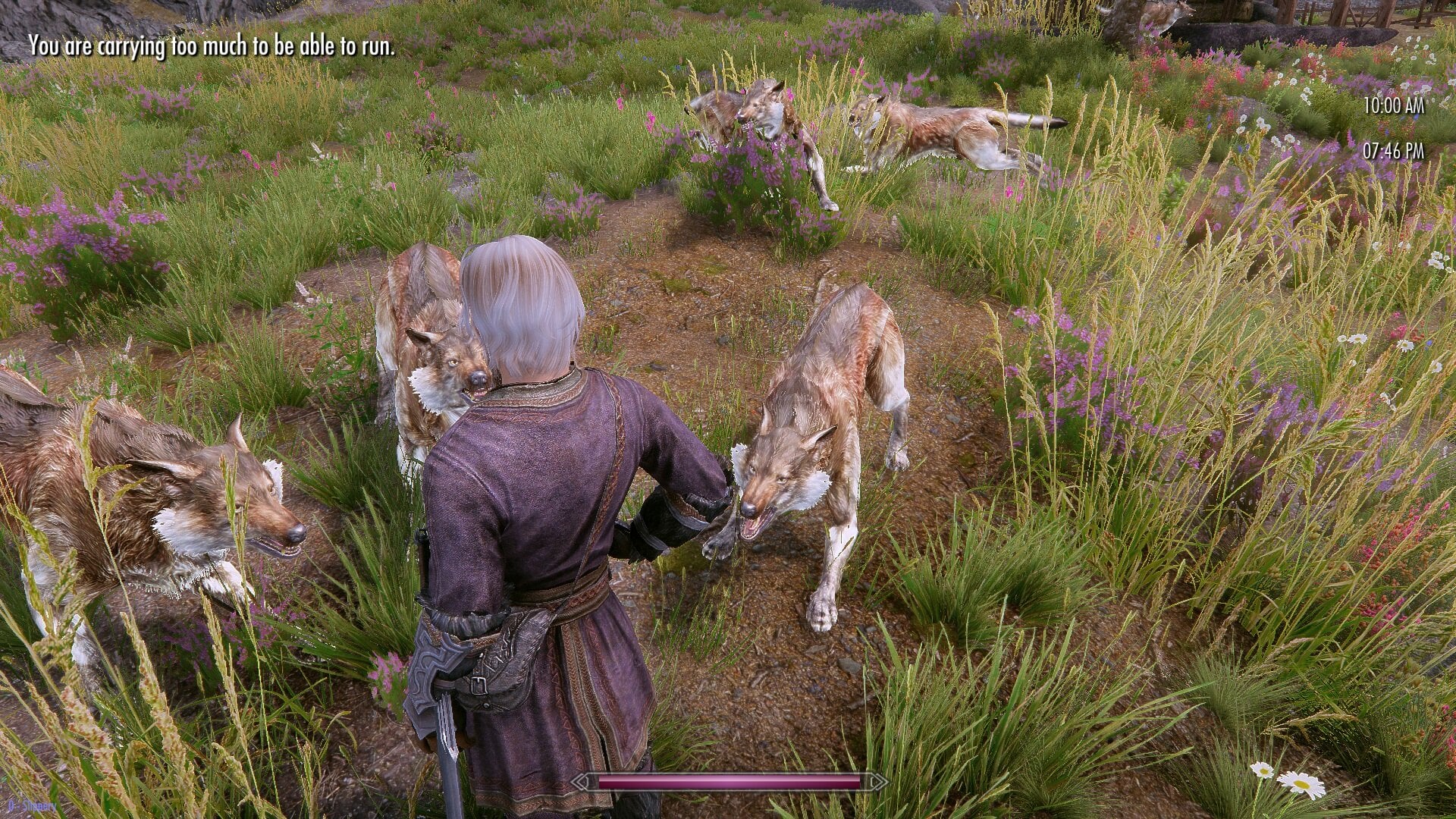1723745004_Wolfspamclue.jpg.60e303c3f72f815e43a14999d1365064.jpg