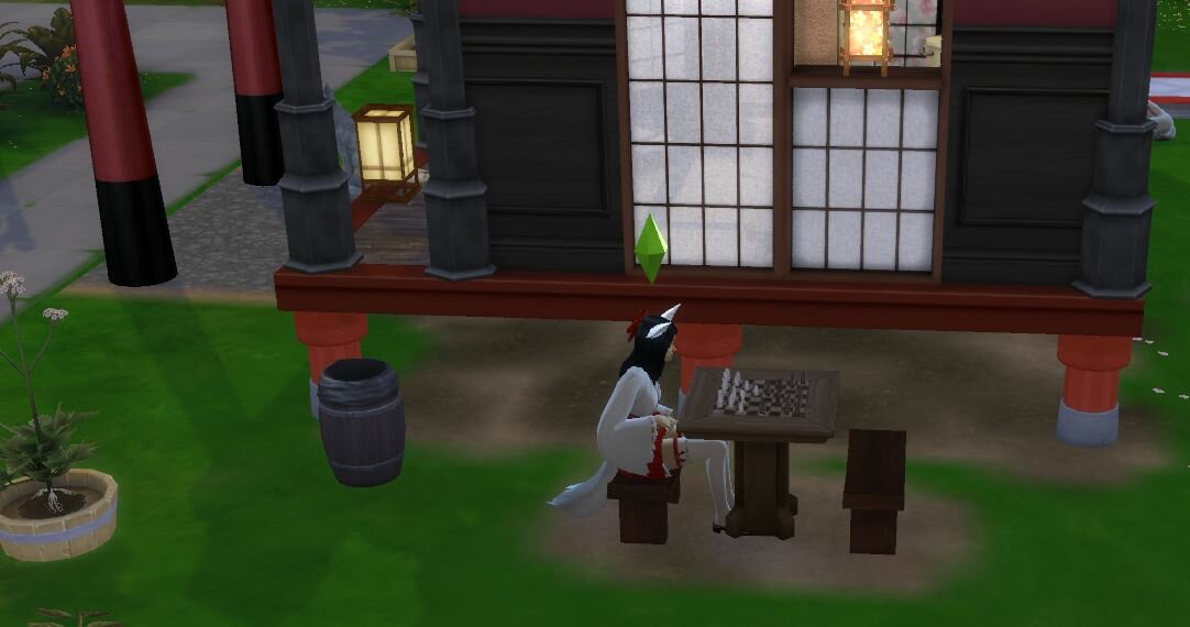 1960270932_PlayingChess.IwishedtherewhereaShogiboardmod-.-.JPG.1baa5167c0c9b32440380e14893ecc9b.JPG