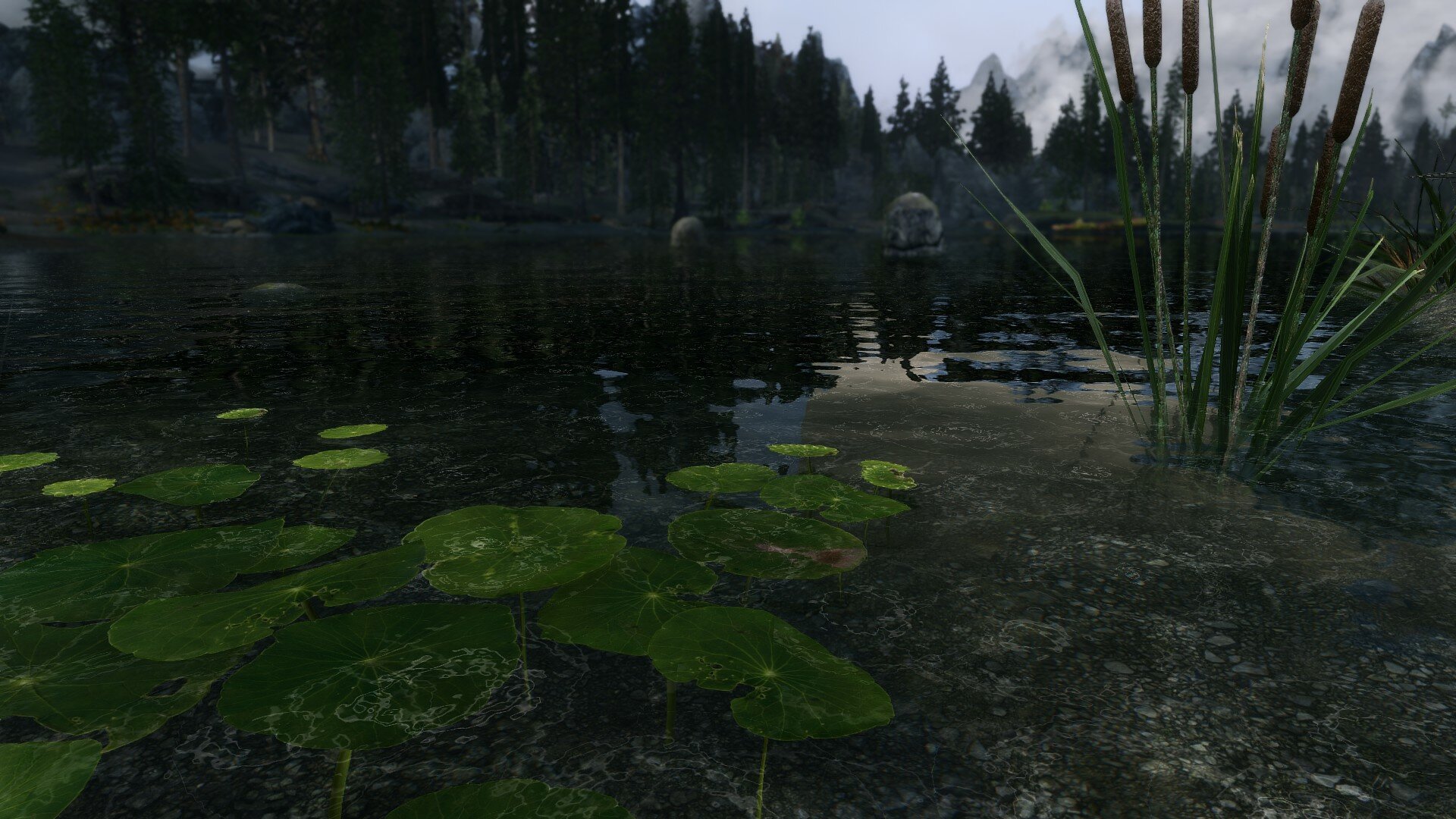 2007496264_Skyrim4.jpg.c8d41fca88fab18ab4dfd988a7378bda.jpg