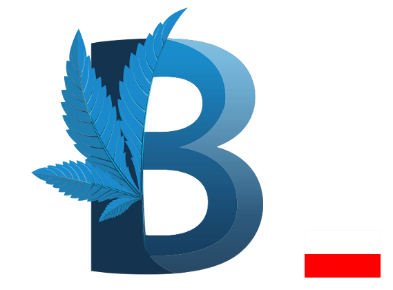 2333333.png.940cec44364dc91db2cdadb015bab451.png