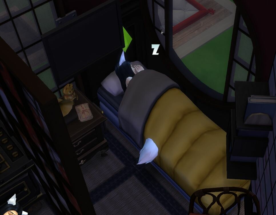 484177843_andofcourseSleeping.JPG.3a9203d4fa0f2a9110099789acbc971c.JPG