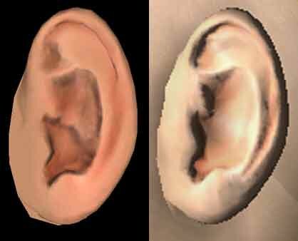 MaleEarIssueSOLVED.jpg.055022a880414c2a023a1bd16b2ff20c.jpg