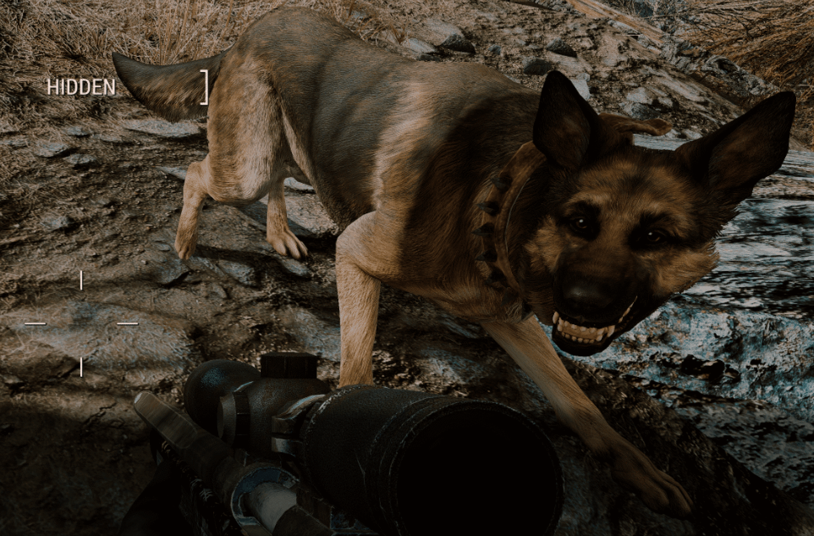 dogmeat.gif