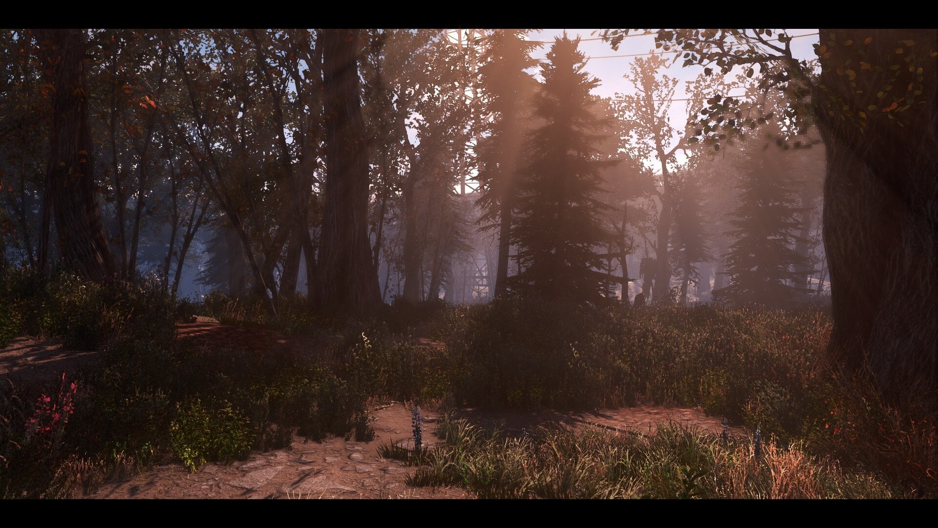 enb2020_6_18_22_32_52.jpg.3f99d00049378f83e0750f9f13ee780d.jpg