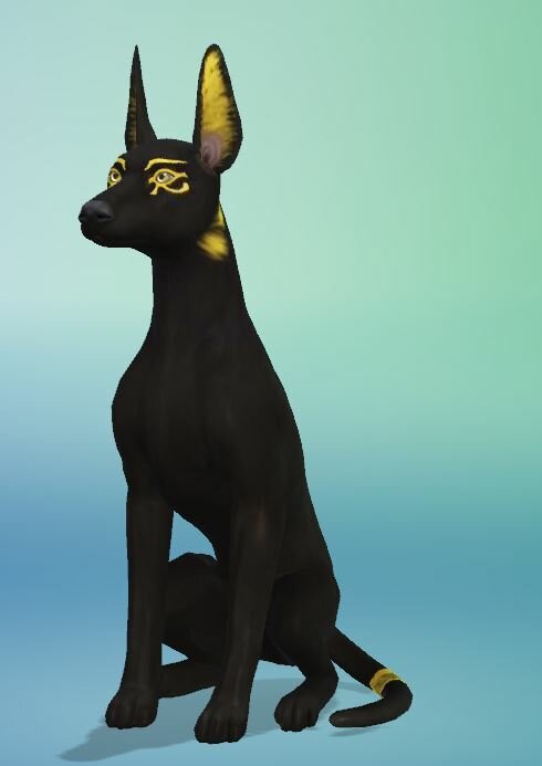 1830839509_Anubis01.JPG.ee2e7cf43418681b4803c5727212023f.JPG