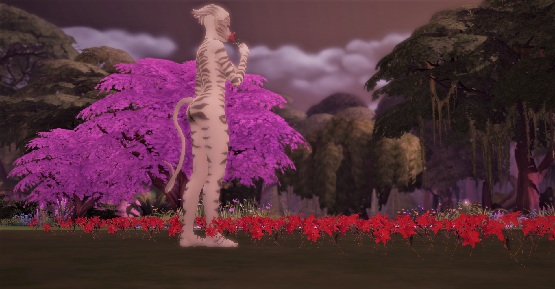 2072931091_07-05-20_11-13-51AM.png.f5de25f5c5025f7637b840fffec6a941.png