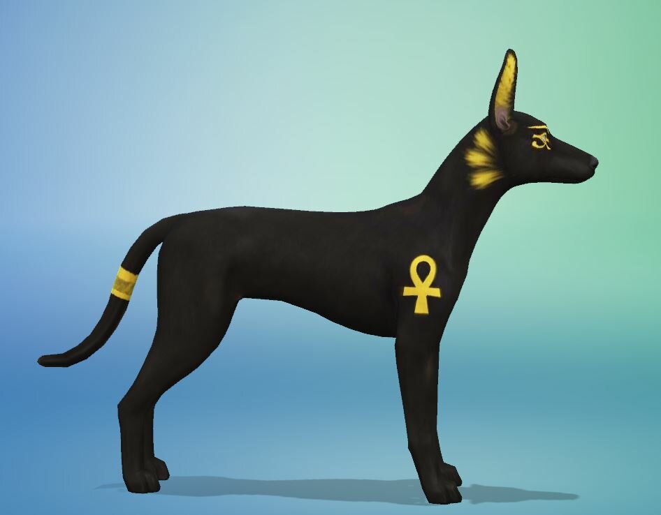 400644935_Anubis02.JPG.88013e84d91ee801834ebcadd6c8251b.JPG