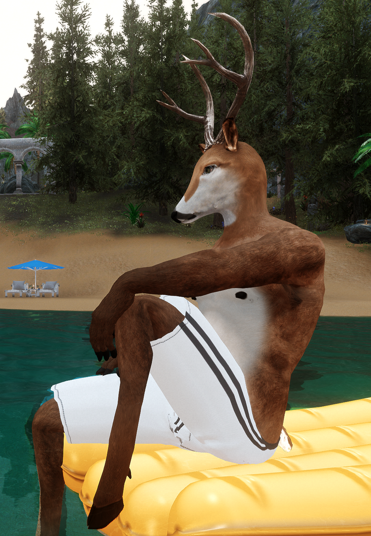 BeachBuck3.thumb.png.95c255efba807c71162ad0e111be35b6.png