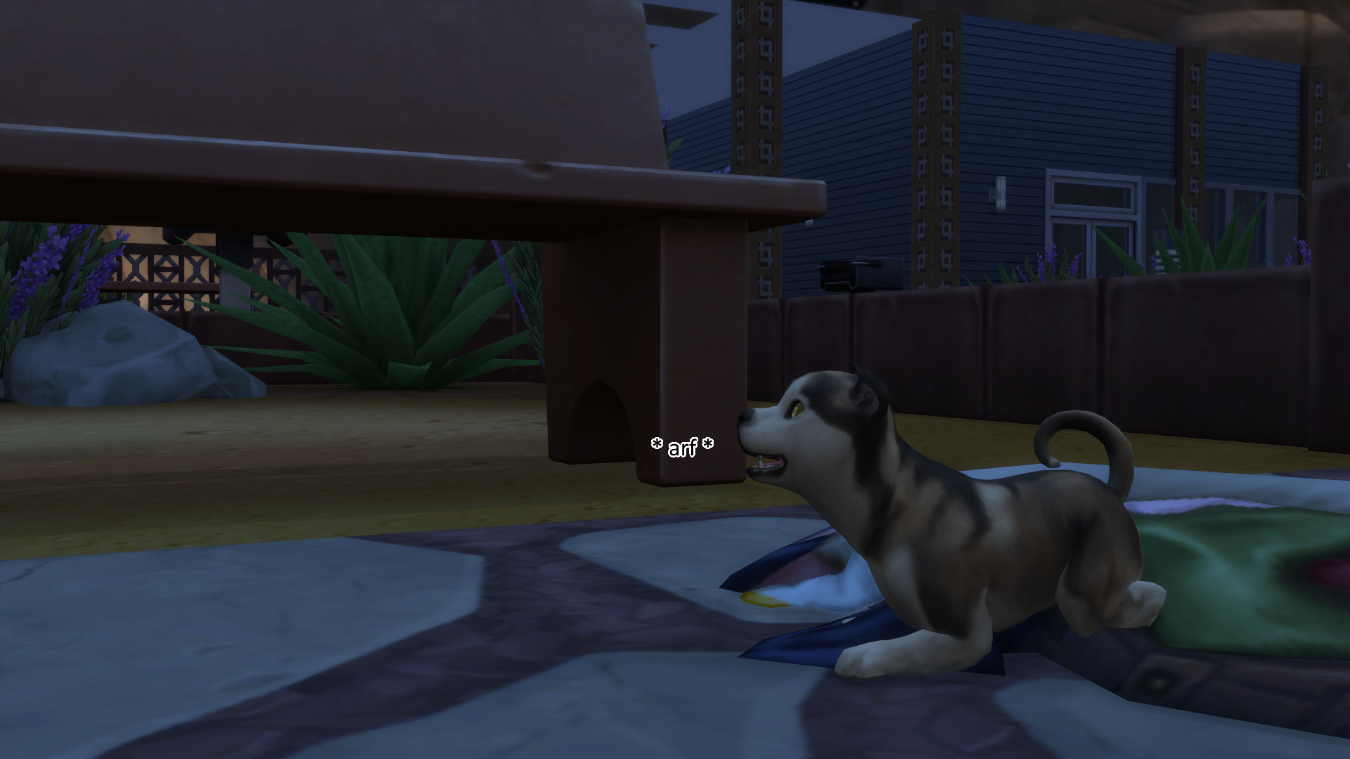 PuppyMonster1-29.png.c2c304e133a6ea3f62fd1ee22bc187a4.png