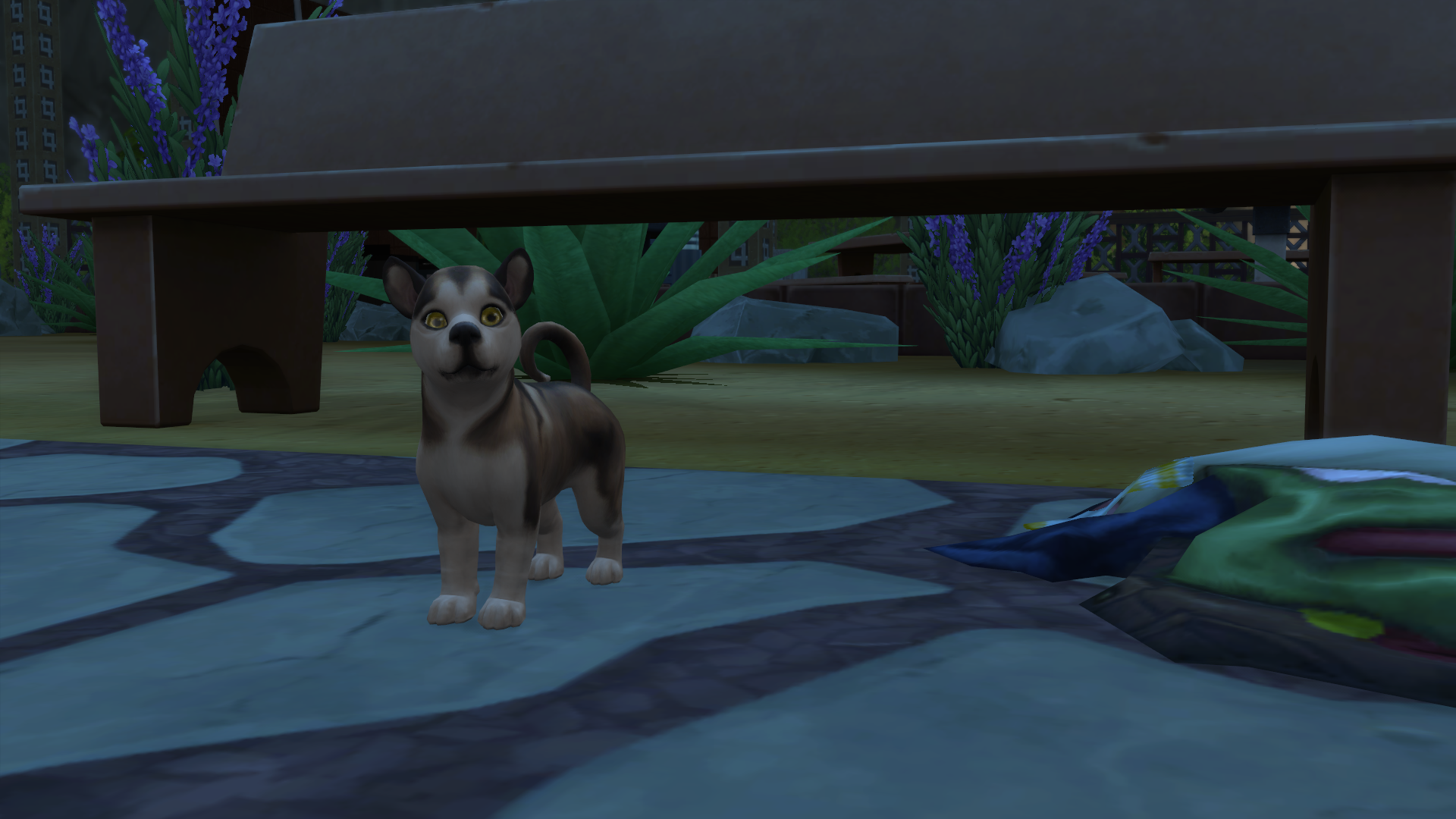 PuppyMonster1-32.png.bf3bf2ede13226c9a6875d56fc16d8d8.png