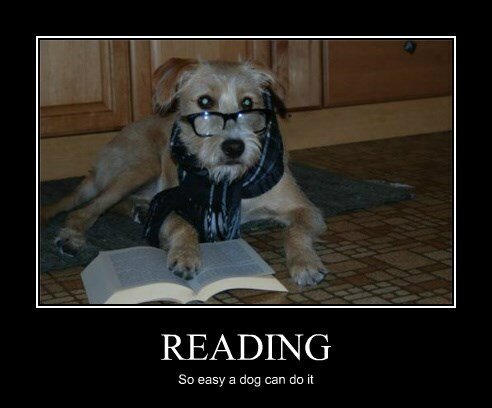 reading.jpg.a94938e5c0313191b9dbf8b90d915c52.jpg