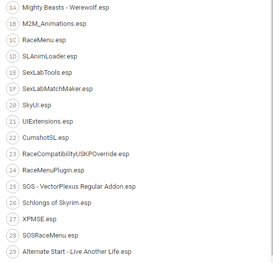 1106373498_LoadingOrder2.PNG.225cb375ce6f15bcaa0be59846bf43ae.PNG