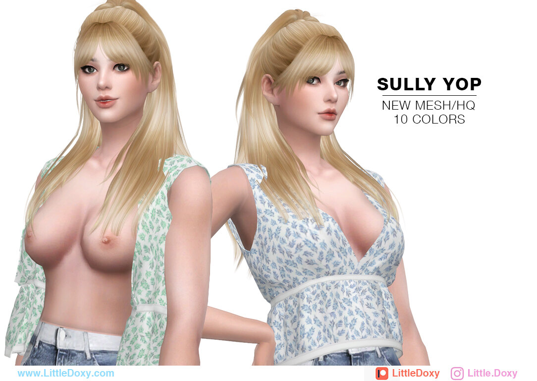 SullyTop02.jpg.18498a88b774be8b55b655fabddef8a9.jpg