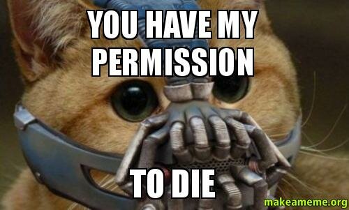 You-have-my.jpg.7696b68e6caf11afaf4096132e309a5f.jpg