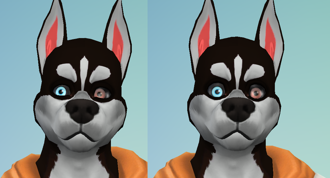 husky2.png.e6a7653806c80b9dfb424a778c99badd.png