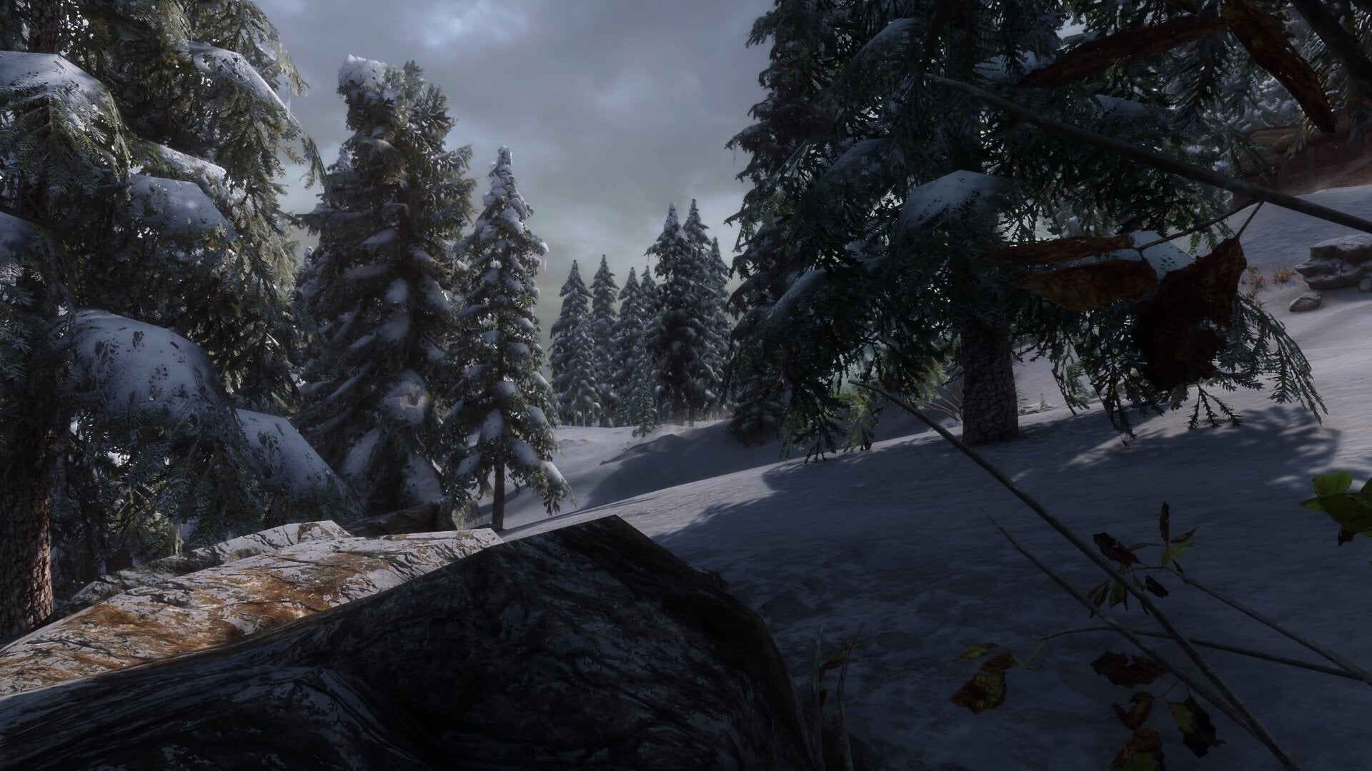 229689024_Winterlandscape.jpg.e63149929c17fe718d8b129baf82afdd.jpg