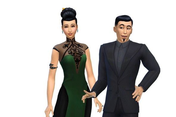 254816705_Feng-Household-591x394.png.bda8d15e6d7ef9c552d6aac963d80417.png