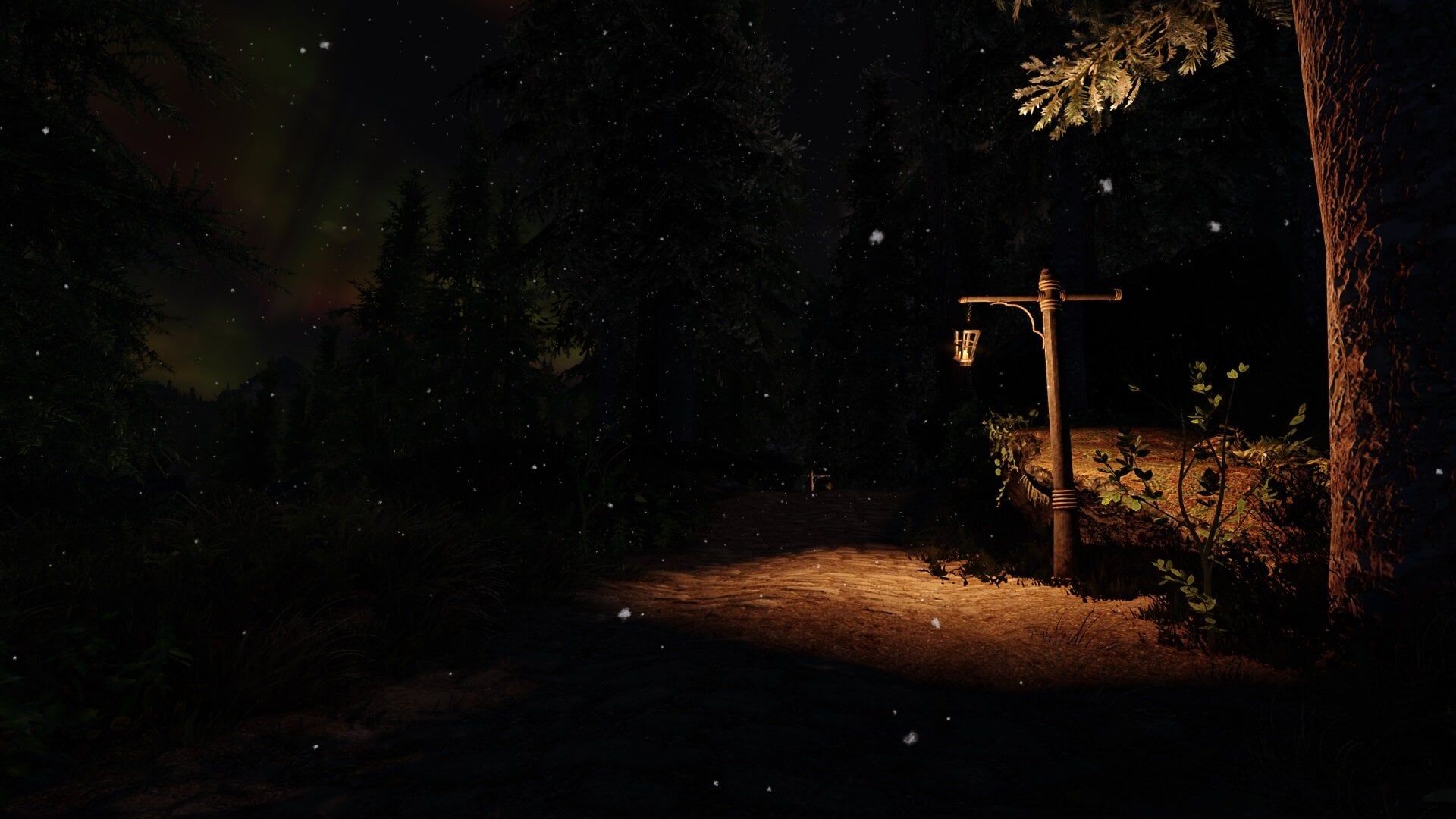 313262792_RoadatNight.jpg.49a8c142bdc7fca20abd8fd90325968e.jpg
