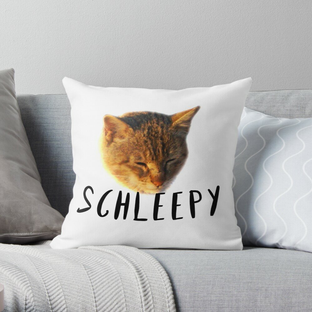 throwpillow,small,1000x-bg,f8f8f8-c,0,200,1000,1000.jpg