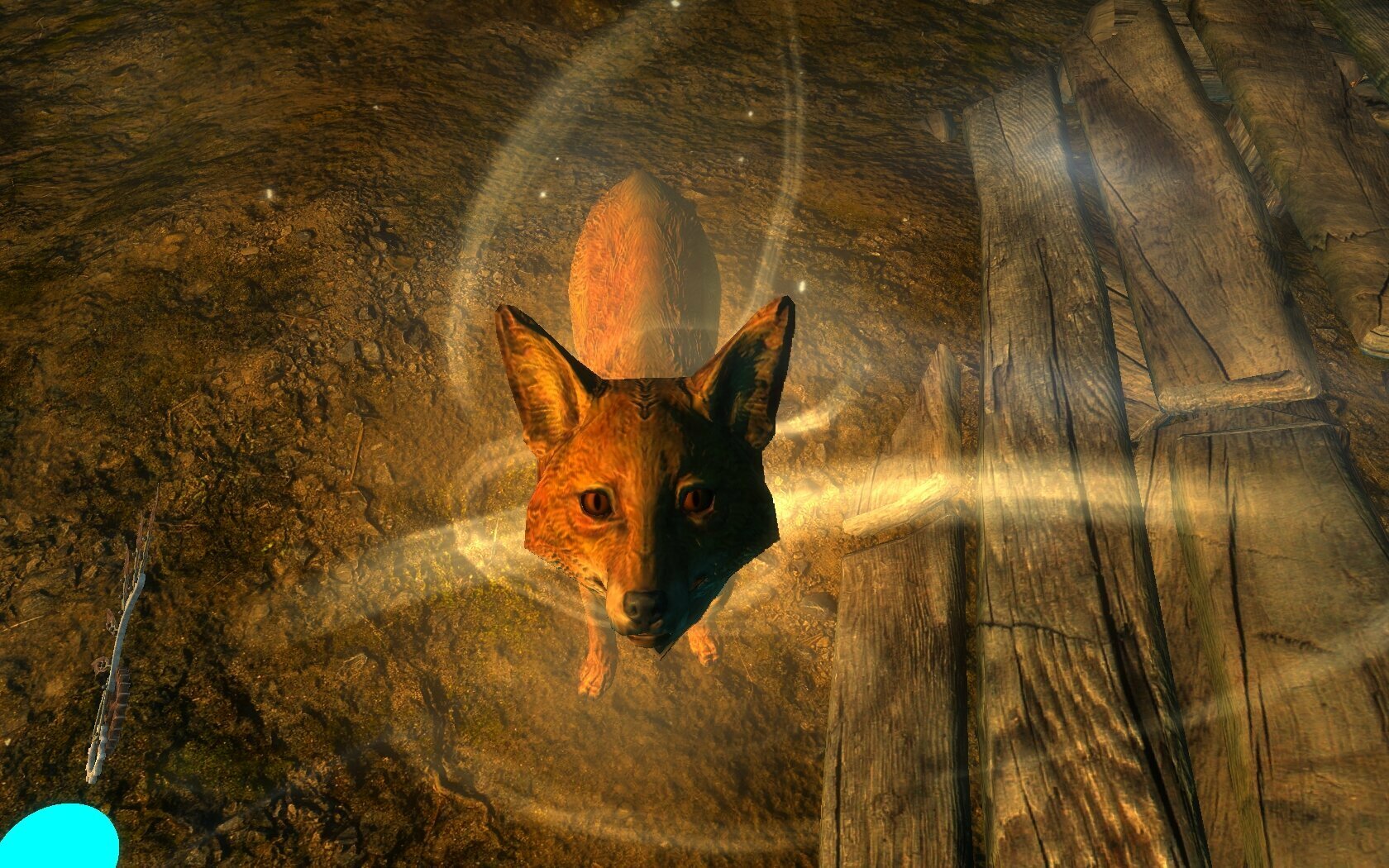 979223855_enb2020_09_1812_29_33_22.jpg.06954e6886722128e61183074adb9cb2.jpg.6c595576dd06698ad133a31ef13b9b07.jpg