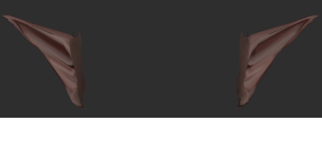 Ears.jpg.b9953b1c22bb9b1d9db668d6eea98488.jpg