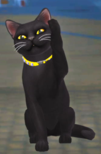 Liquorice.png.120a6ce9728e976a60beb5c221064582.png