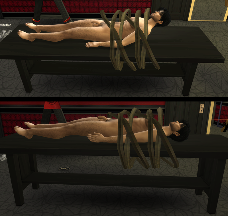 Poses1.png.c4b92b969b2ee4ff2d395ddd03143cad.png