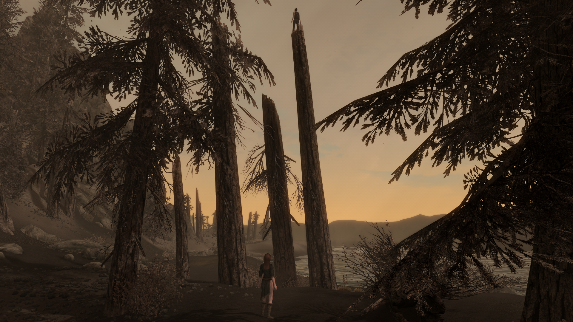 Skyrim717.png.512402572950f93d398480b267bb2660.png