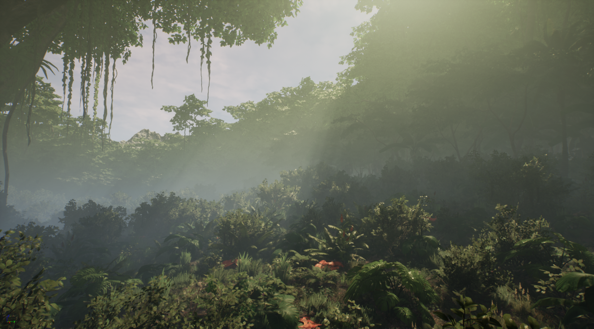 enviro4.png