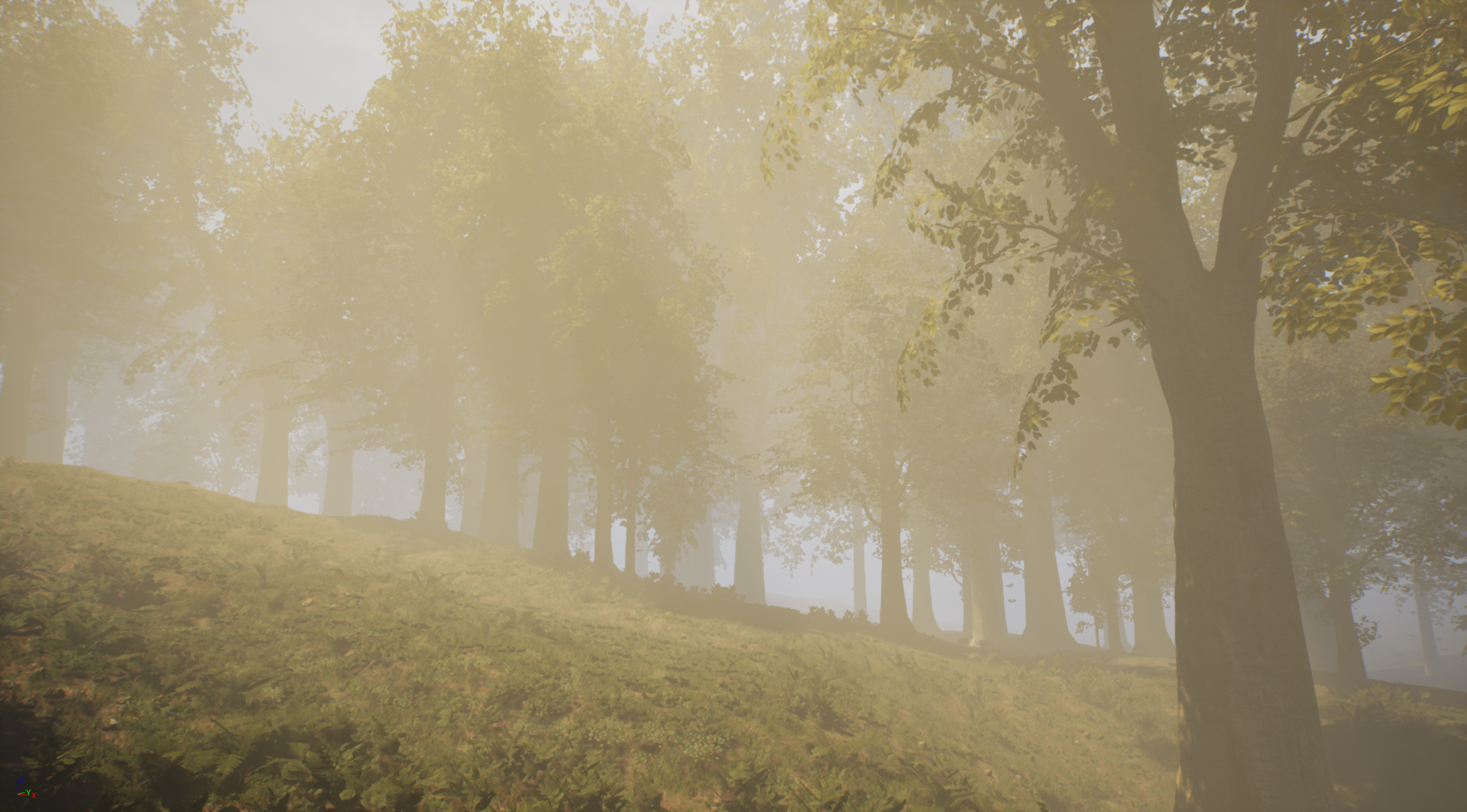 enviro6.png