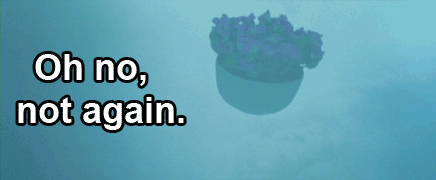 external-content.duckduckgo_com.gif.1fb7eec4f47cd5487c0db4678652b612.gif