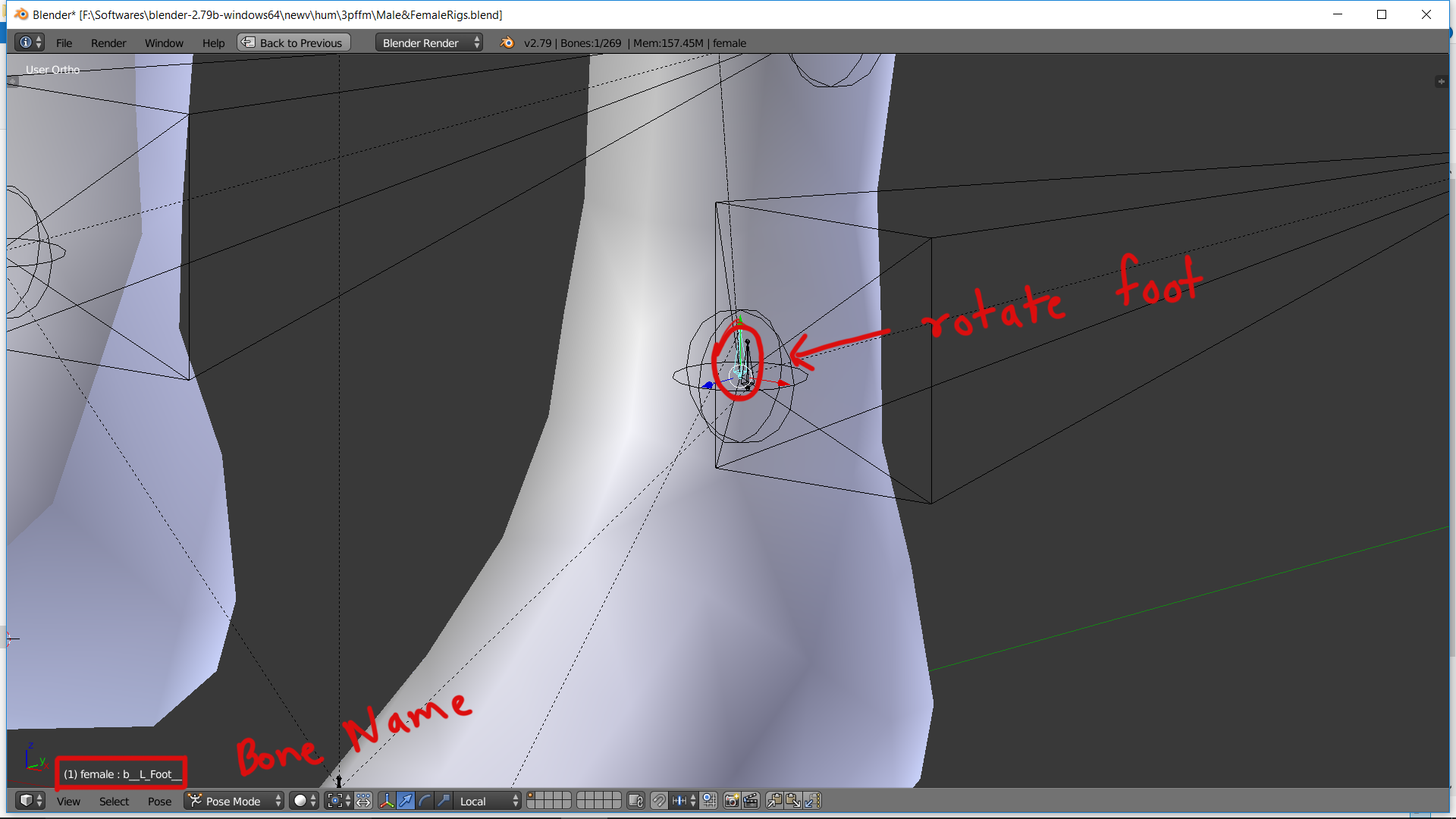 foot.png.9404929360e0d0ea6940b3420f6eaa94.png