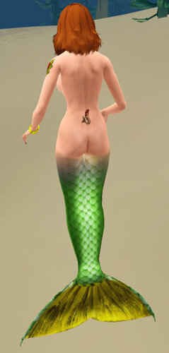 mer02.jpg.379b0b17d321f17efa44ec30dac31f8b.jpg