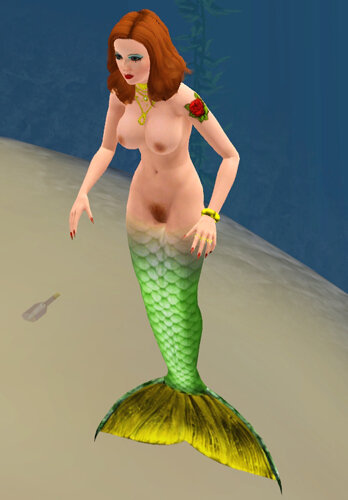 mer03.jpg.e1e7947e49d3c810cda6c0cea4f7272f.jpg