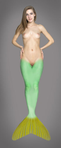 mer2.jpg.27b6df4d6024b6a29a077f590412ed27.jpg