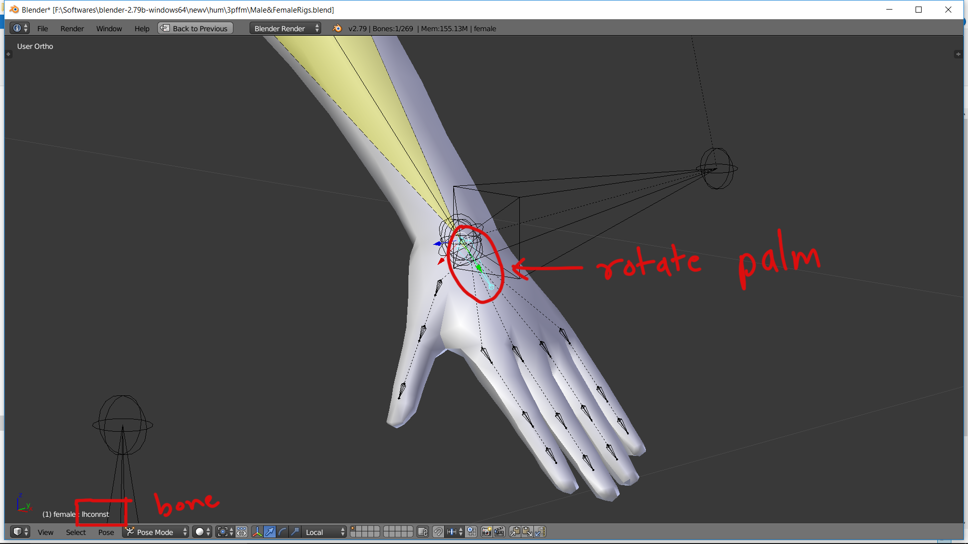 palm.png.d3b16c5fc6515d4d1334d6eea30984da.png