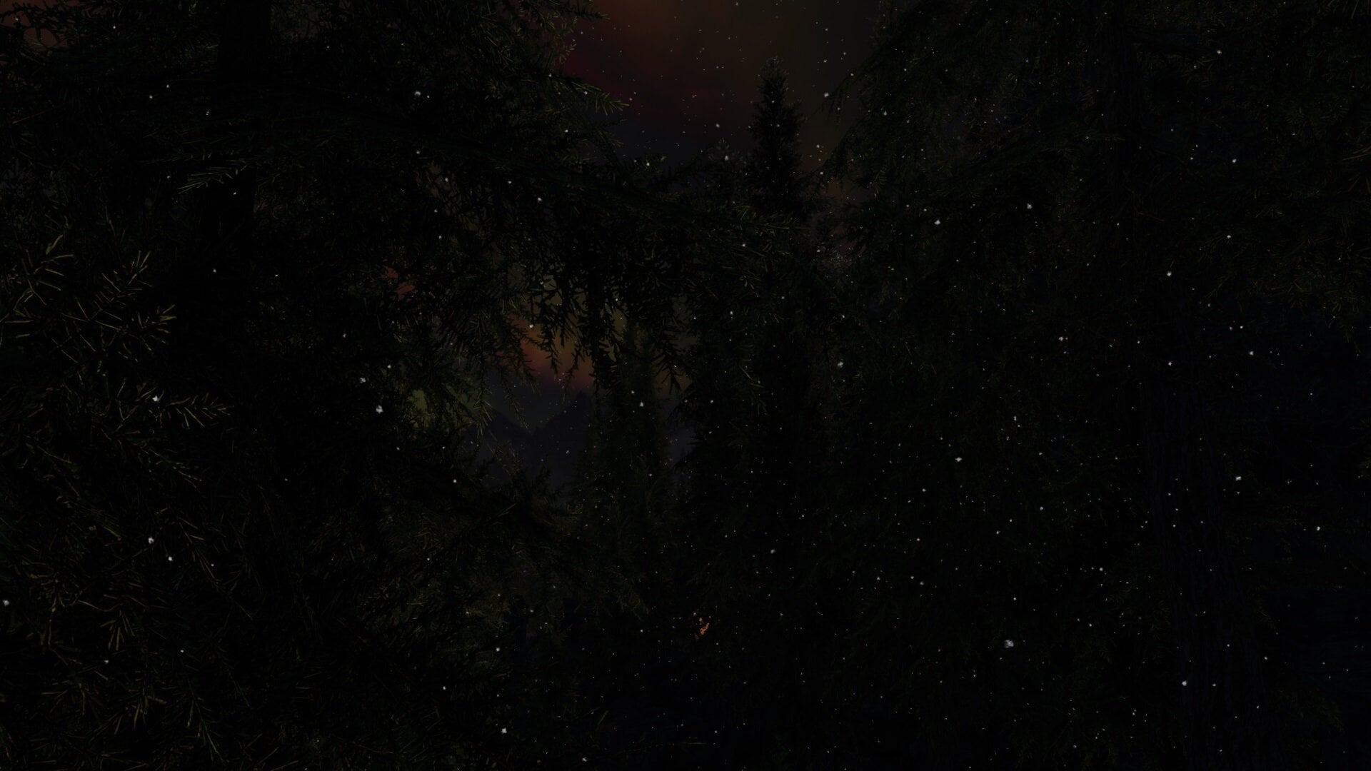 1071281099_NightForest.jpg.68116fbe59a295f5d2e18b3c1c75dbcb.jpg