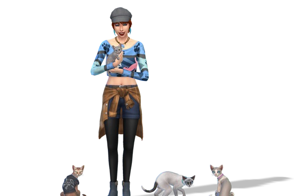 1171980697_Lynx-Household-591x3941.png.ac3f54488e1dbe2358902bc64c6d323c.png