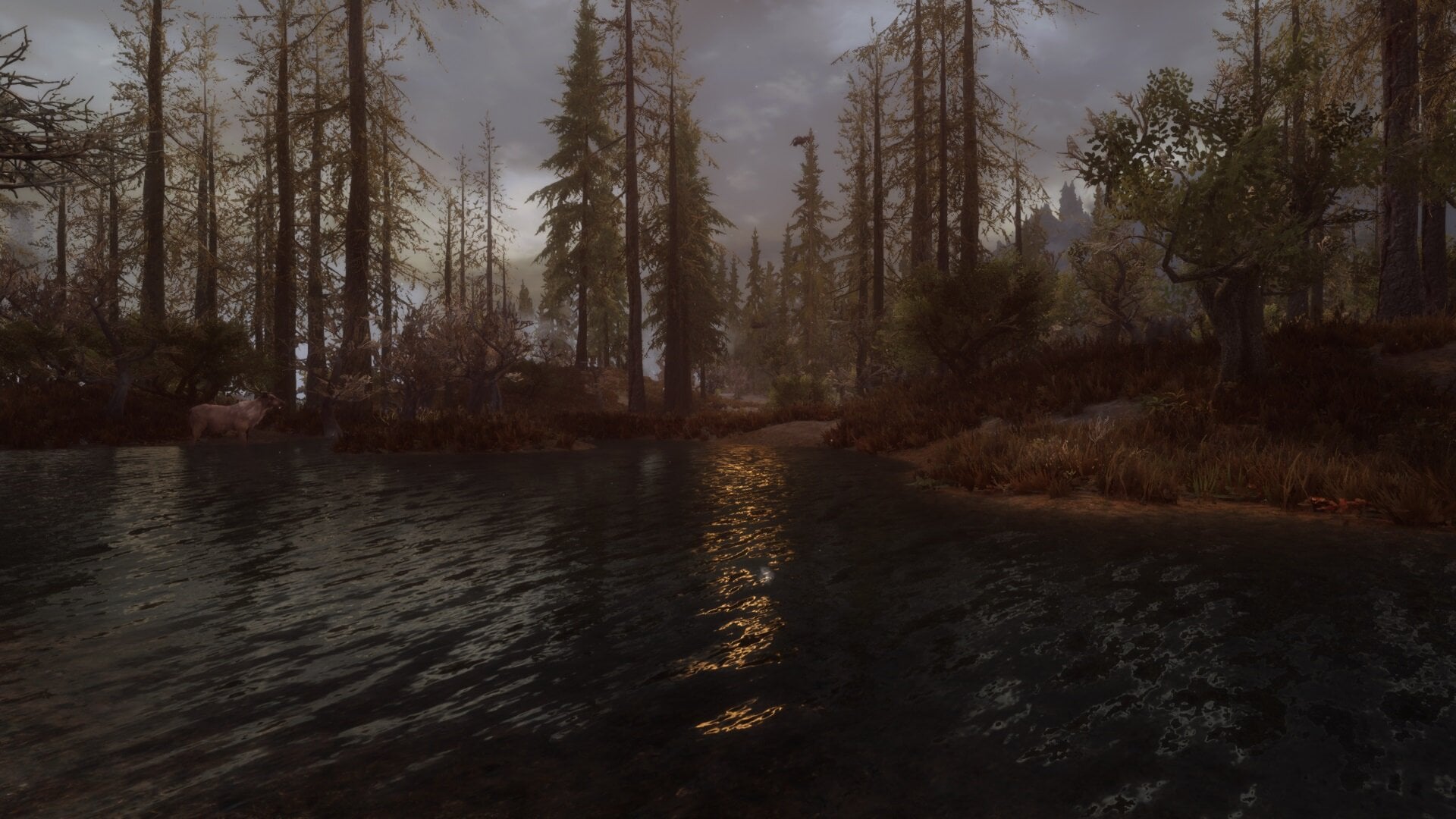 118541092_Swamp03.jpg.27498fb24147177e335f56ea0b03b4f7.jpg